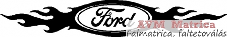 Ford autóra matrica 3