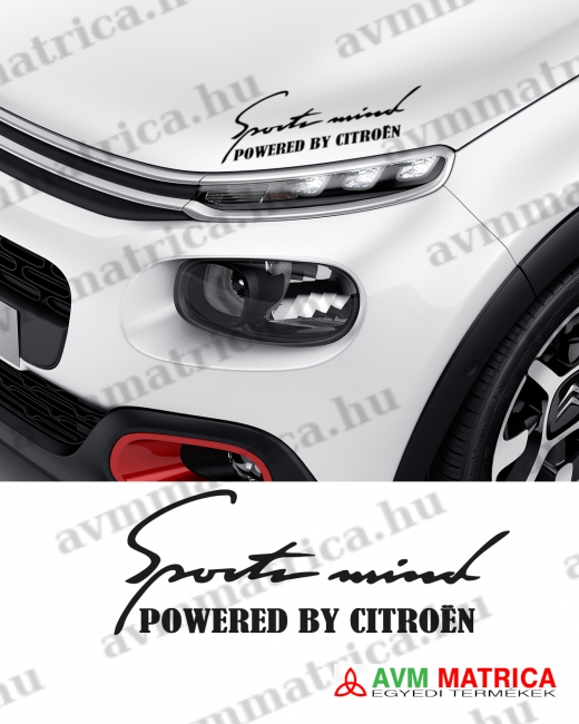 Sport mind - Citroen autómarica Sport mind - Citroen autómarica