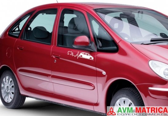 Citroen Xsara EKG autómatica