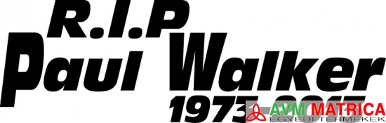 R.I.P Paul Walker autómatrica