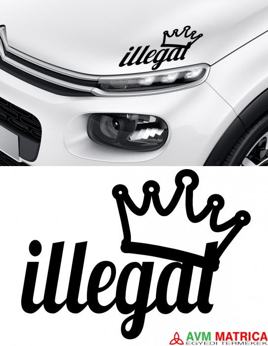 Illegal 2 matrica