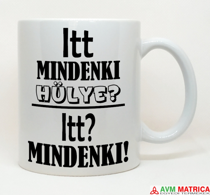 Itt mindenki hülye? bögre