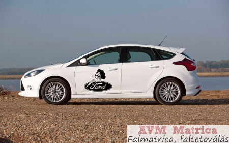 Ford autóra matrica 4