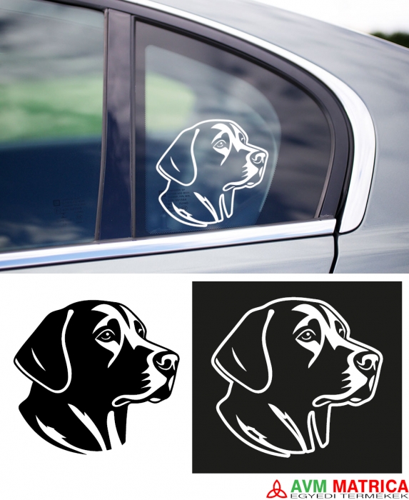 Labrador autómatrica