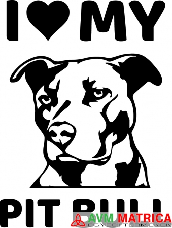 I love my PIT BULL autómatrica