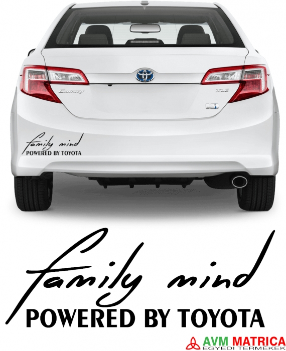 Toyota family mind matrica Toyota family mind matrica
