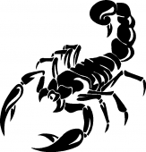 Skorpió autóra