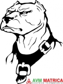 Amstaff autómatrica