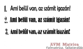 Ami belül van, az számít igazán! autó matrica