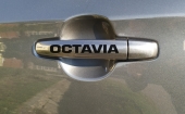 Octavia kilincsmatrica