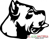 Cane corso autómatrica Cane corso autómatrica